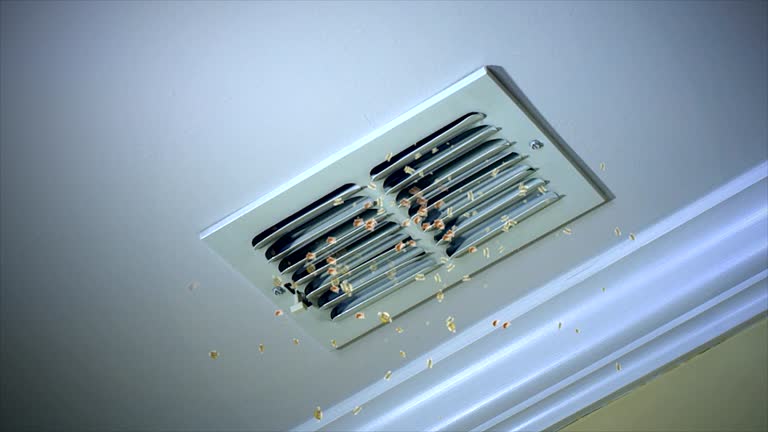 Best Professional Duct Cleaning Services  in Celina, OH