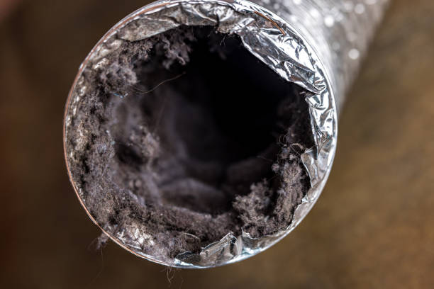 Best Affordable Air Duct Cleaning  in Celina, OH