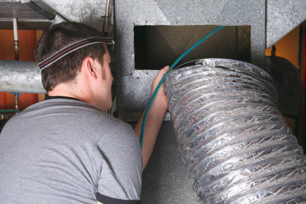 Best Air Duct Sanitizing Services  in Celina, OH