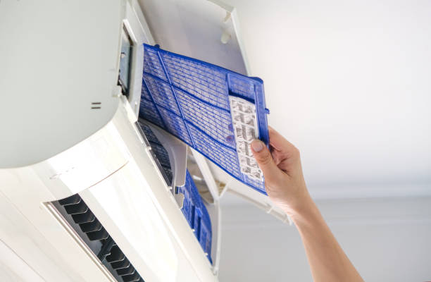 Best Home Air Vent Cleaning  in Celina, OH